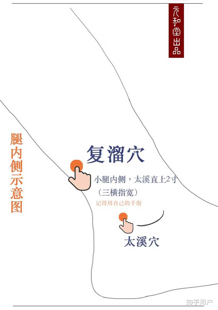 如何健脾祛湿 补肾气? - 知乎