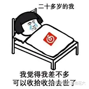 处女座是怎么样的人?(处女座是一个怎样的人呢?)