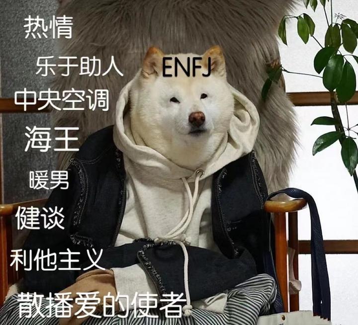 ENFJ喜欢一个人的表现 - 知乎