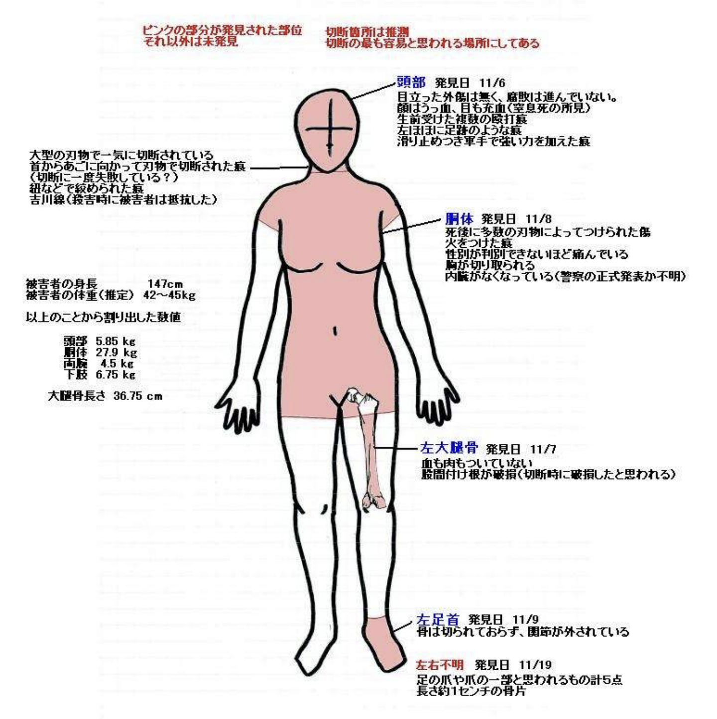 (粉色为已经找到的部分)