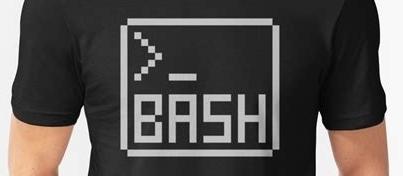 Bash编程入门 7 循环结构 知乎
