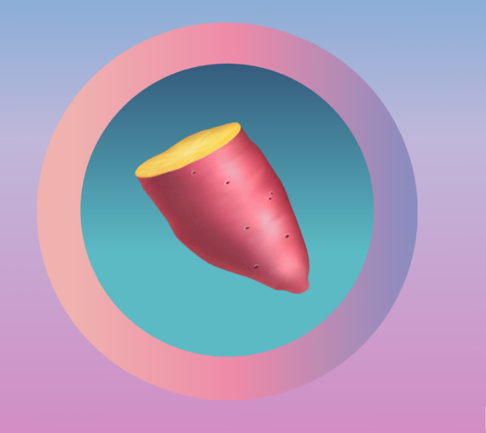 三分钟带你了解红薯yam