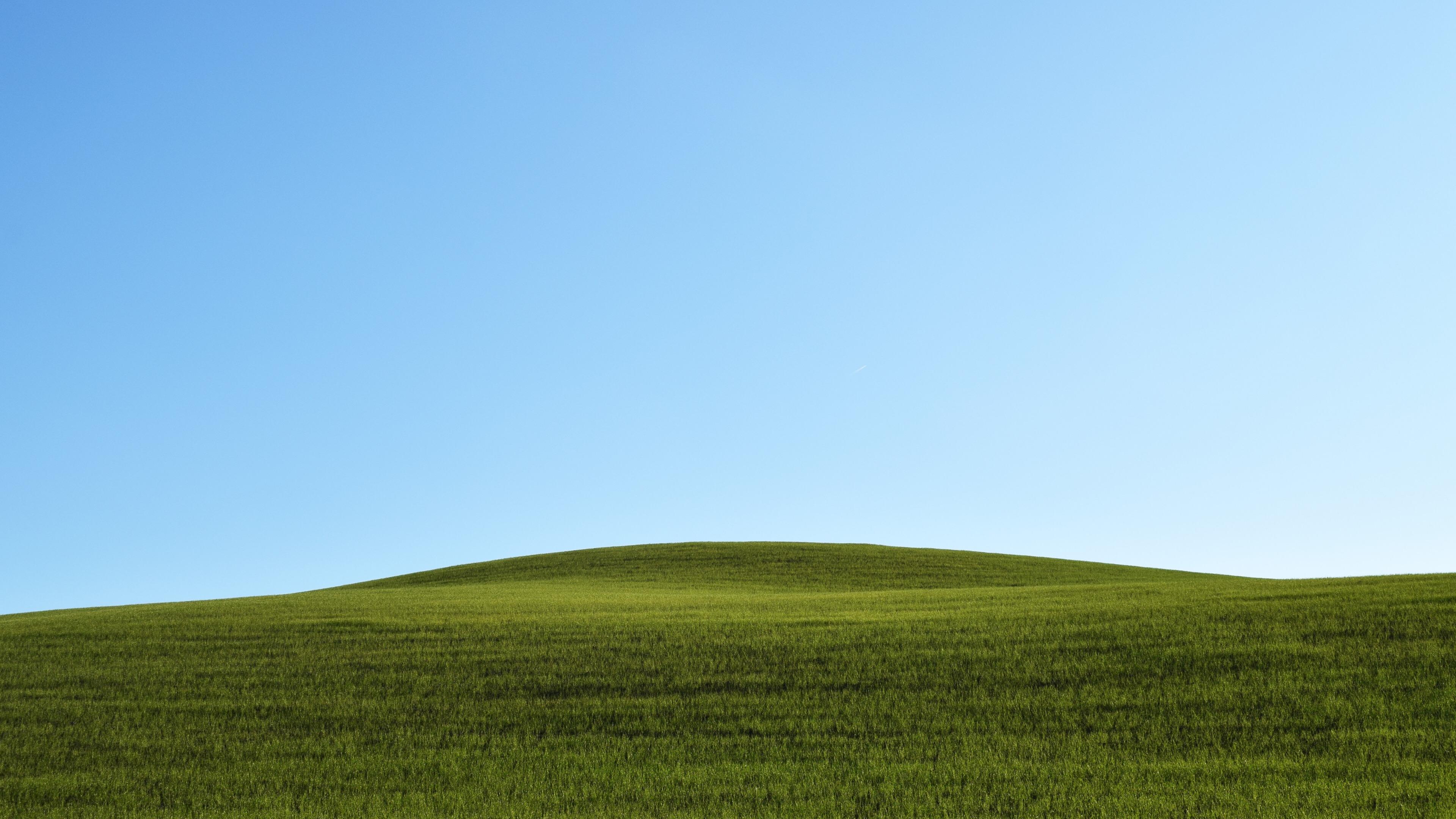 有什么美的电脑壁纸