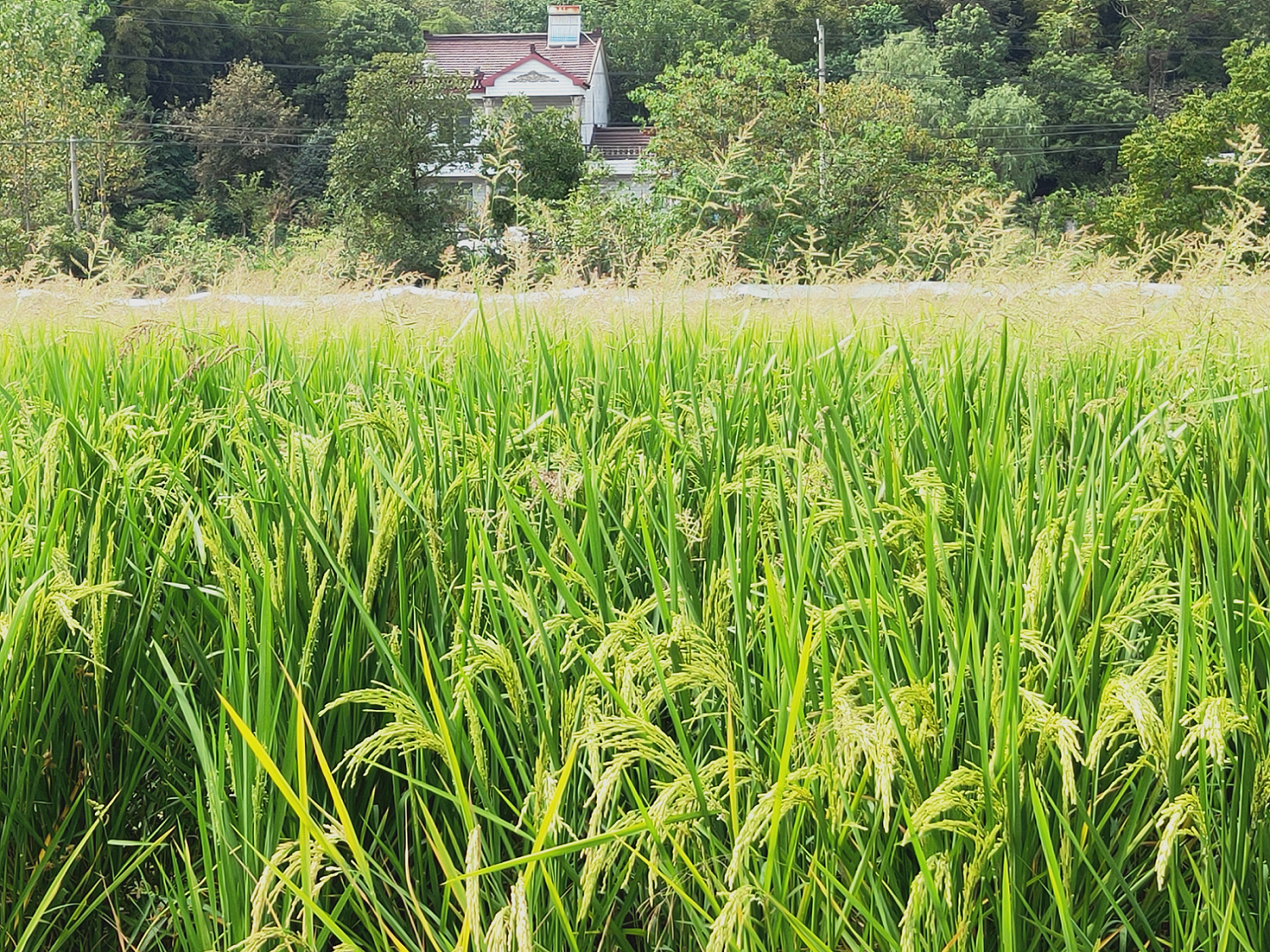 v2-7f58a81d8b36ee9a8a20a28dc9b7d3d3_r.jpg?source=172ae18b