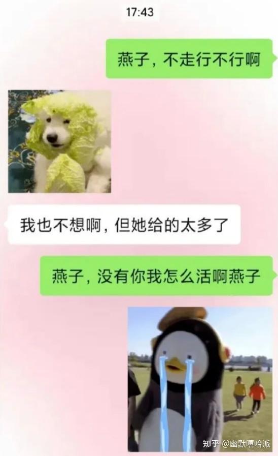 2021 年你看到过最好笑的笑话是什么呢? - 知乎