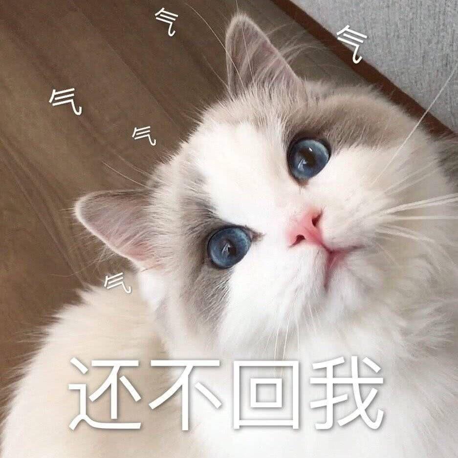 有没有给女朋友发的表情包? - 知乎