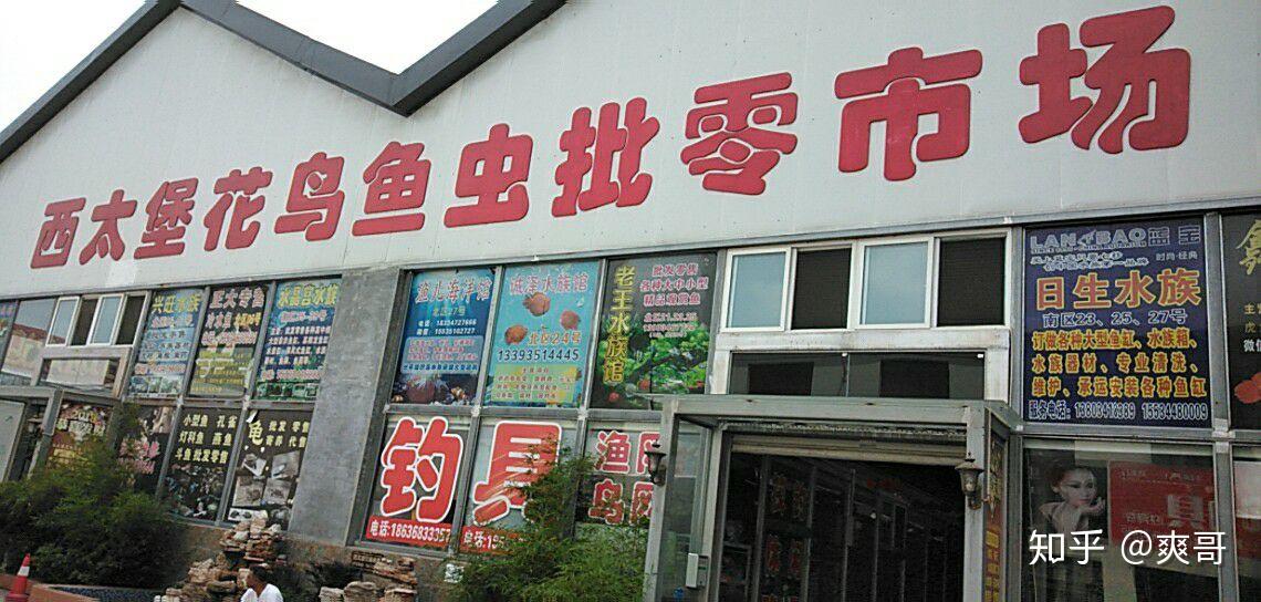 太原哪里有花鸟鱼市