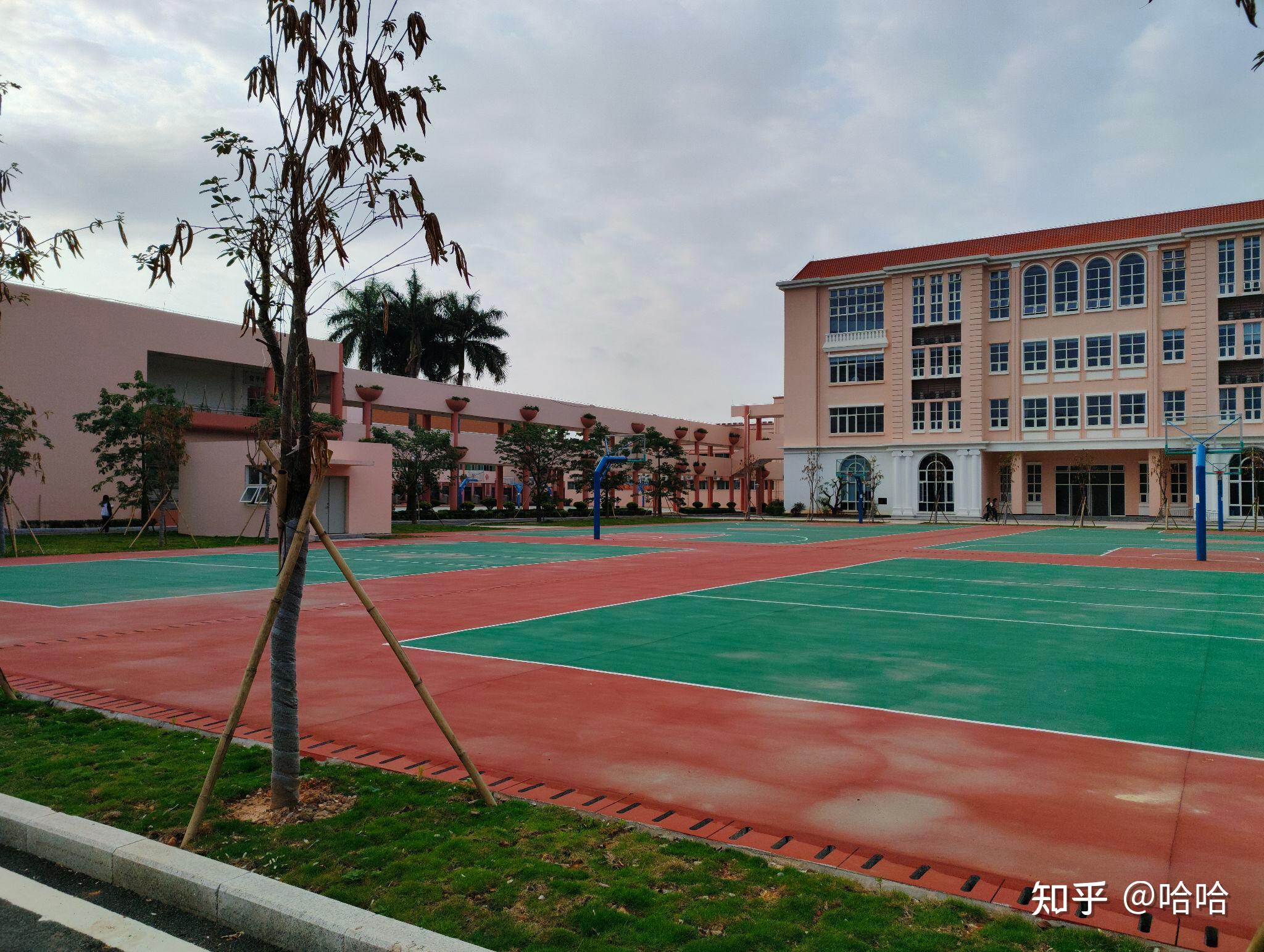 在东莞市常平中学就读是一种什么样的体验